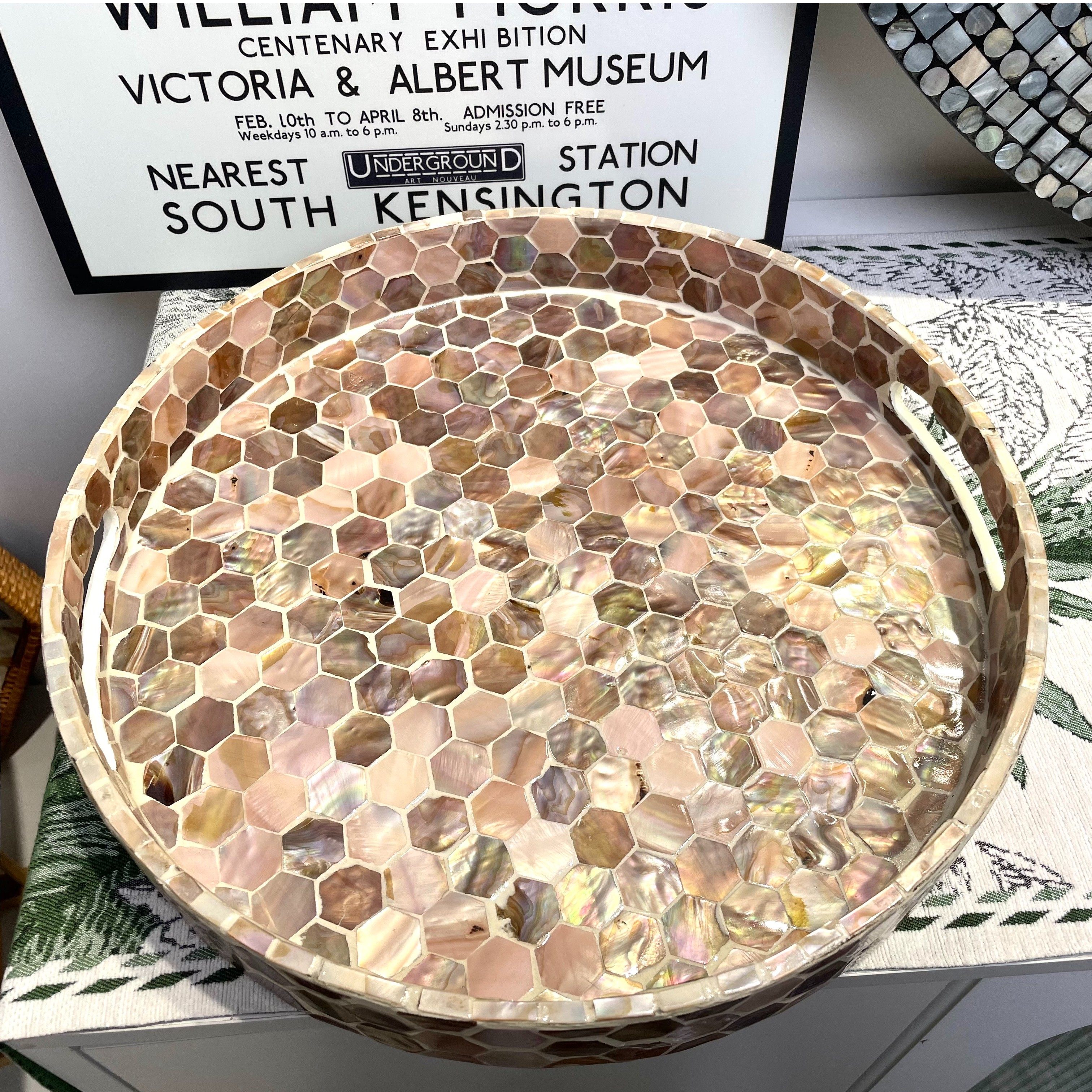 天然全贝壳圆形咖色彩贝零食水果托盘绝美全贝壳茶托茶盘