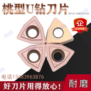 刃天行暴力浅孔U钻刀 WP230 WCMX040208 030208 05 WCMT06T308 12