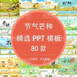 中国风传统节日习俗24节气芒种黄色插画麦田儿童卡通风PPT模板
