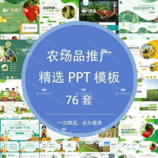 公司企业产品介绍农产品推广营销宣传果蔬生鲜食品PPT模板素材