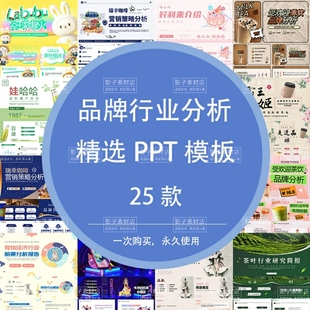 茶饮宠物文创潮玩企业品牌运营分析行业调查调研报告营销PPT模板