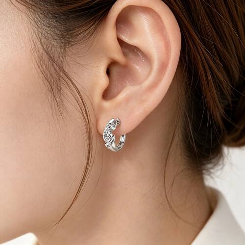 Textured Line Zircon Hoop Earrings for Women, Silver Gold Co