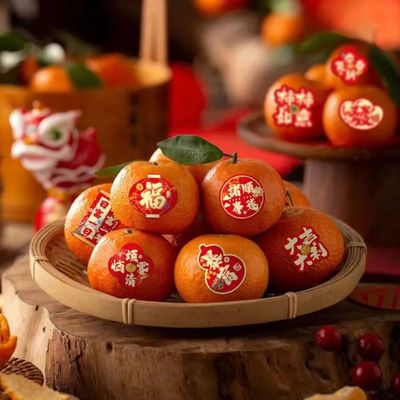 138/200Pcs Chinese New Year ers Cute Style Removable Lunar N