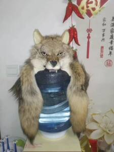仿真狼头摆件可以手工狼头帽抖音同款狼头帽网红周安安同款狼头帽