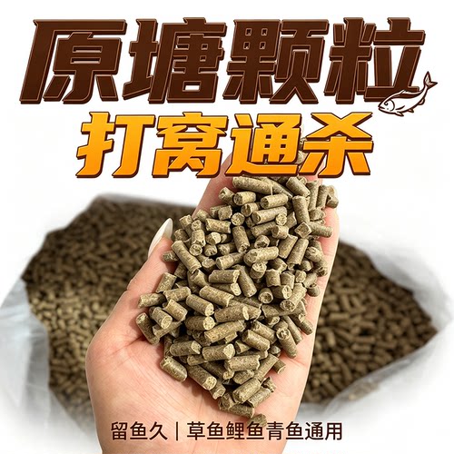 通威原塘打窝水库黑坑下沉颗粒饵