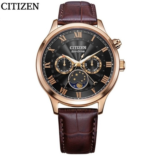 西铁城(CITIZEN)手表 月相盈亏显示光动能商务休闲男表AP1059-19E