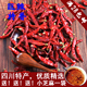 满28 包邮 印度椒魔鬼椒辣椒王变态辣干辣椒超辣特辣超香干海椒250g