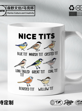 Nice tits Birdwatching Lover观鸟爱好者陶瓷马克杯水杯杯子礼物