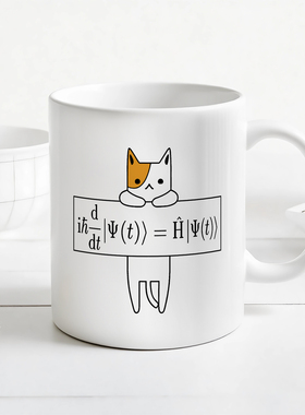 量子力学 薛定谔方程 Schrödinger equation 物理学生专业马克杯