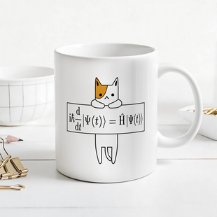 equation Schrödinger 物理学生专业马克杯 薛定谔方程 量子力学