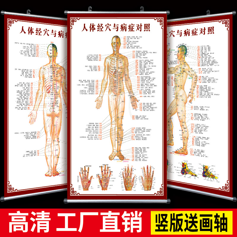 人体经络穴位图海报墙贴