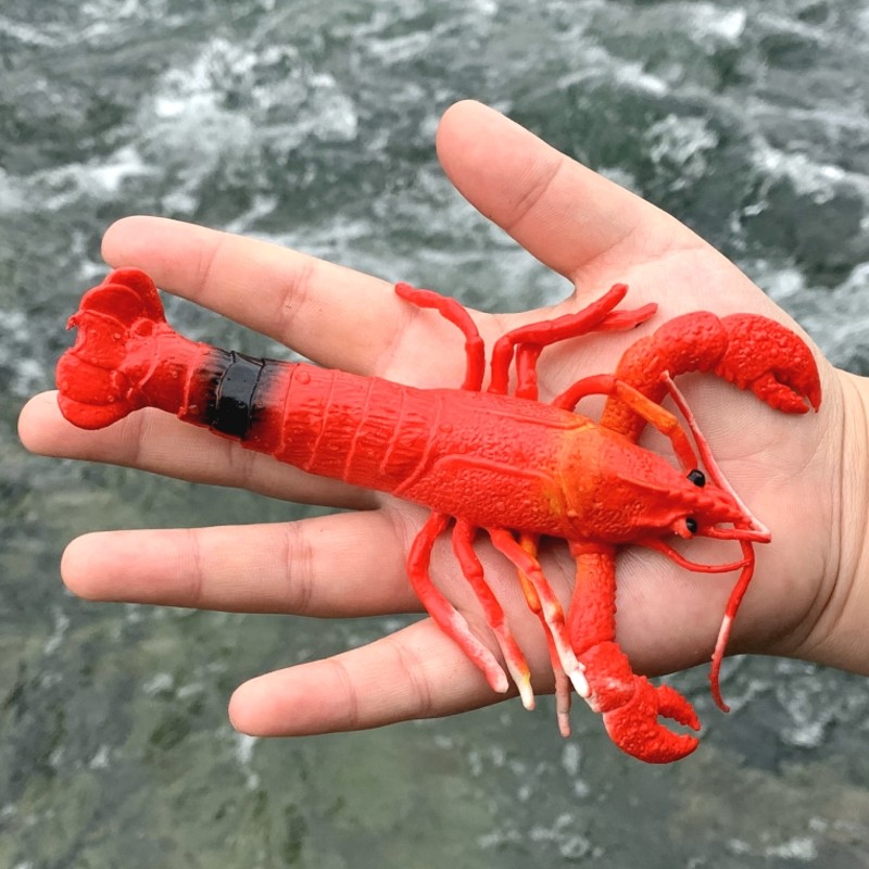 彩色软胶仿真龙虾幼儿园儿童玩具男女孩早教认知益智海洋鱼类模型,玩具/童车/益智/积木/模型,仿真/动物玩偶,淘宝优惠券,粉丝福利购,淘宝优惠卷