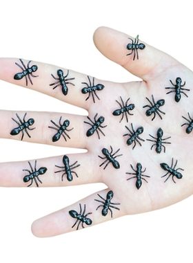 仿真蚂蚁迷你可爱幼儿园儿童益智教学认知塑胶静态小昆虫动物模型