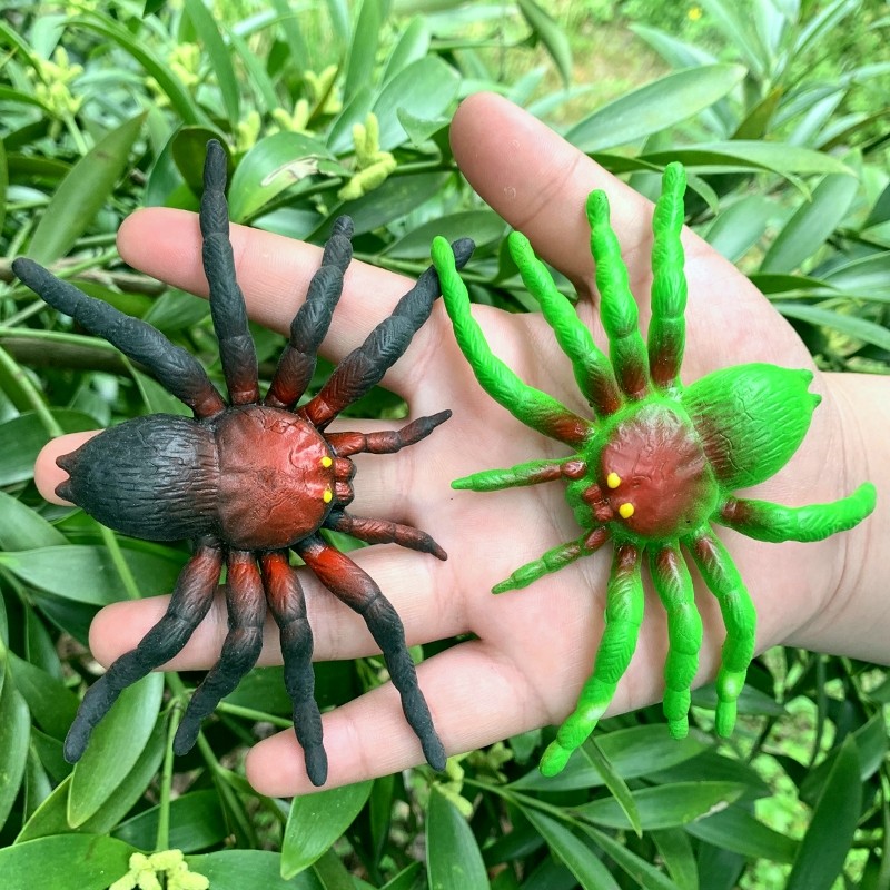软胶仿真蜘蛛套装整人吓人恶搞幼儿园儿童玩具静态大昆虫动物模型,玩具/童车/益智/积木/模型,仿真/动物玩偶,淘宝优惠券,粉丝福利购,淘宝优惠卷