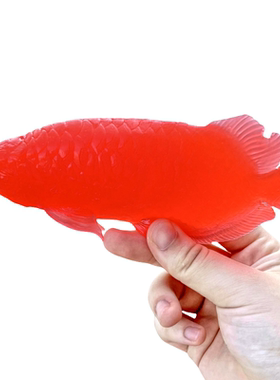 软胶仿真金龙鱼红色大金鱼缸戏水族箱装饰幼儿园儿童玩具鱼类模型
