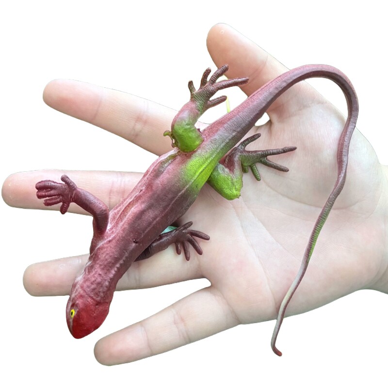 软胶仿真蜥蜴彩色四脚蛇幼儿园儿童玩具吓人静态爬行动物模型摆件