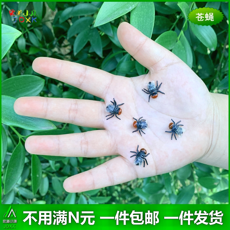 仿真蛇苍蝇蜘蛛昆虫儿童玩具包邮