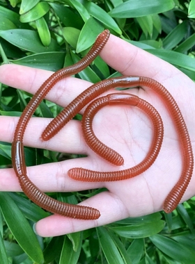 软胶仿真蚯蚓超强弹力拉长幼儿园儿童玩具创意静态假昆虫动物模型