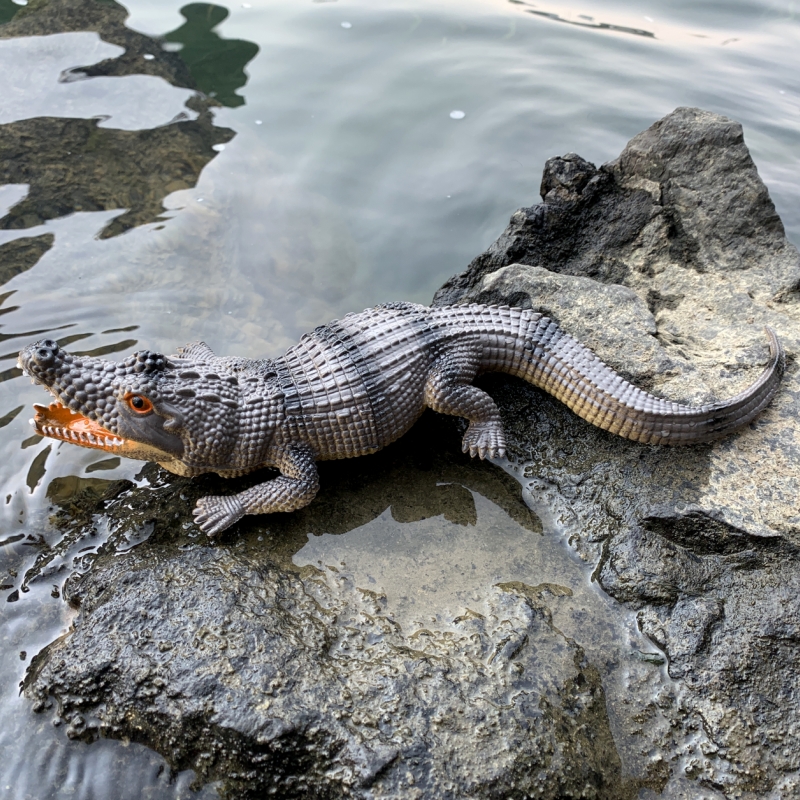 仿真鳄鱼发声捏捏叫bb哨幼儿园儿童玩具软胶塑胶爬行动物模型摆件