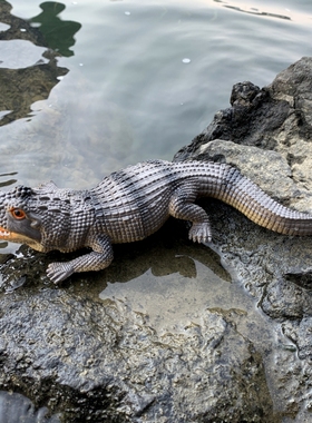 仿真鳄鱼发声捏捏叫BB哨幼儿园儿童玩具软胶塑胶爬行动物模型摆件
