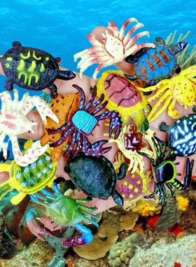 仿真超小螃蟹迷你海龟假乌龟套装幼儿园儿童玩具静态海洋动物模型