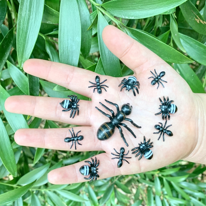 黑色幼儿园认知益智动物小昆虫