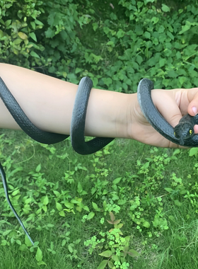 大号仿真蛇儿童玩具吓人恶搞整人软胶橡皮蛇假蛇整蛊动物摆件模型