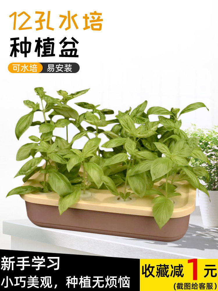 水培种植盆家庭香草类罗勒迷迭香薄荷无土栽培设备新手阳台生菜