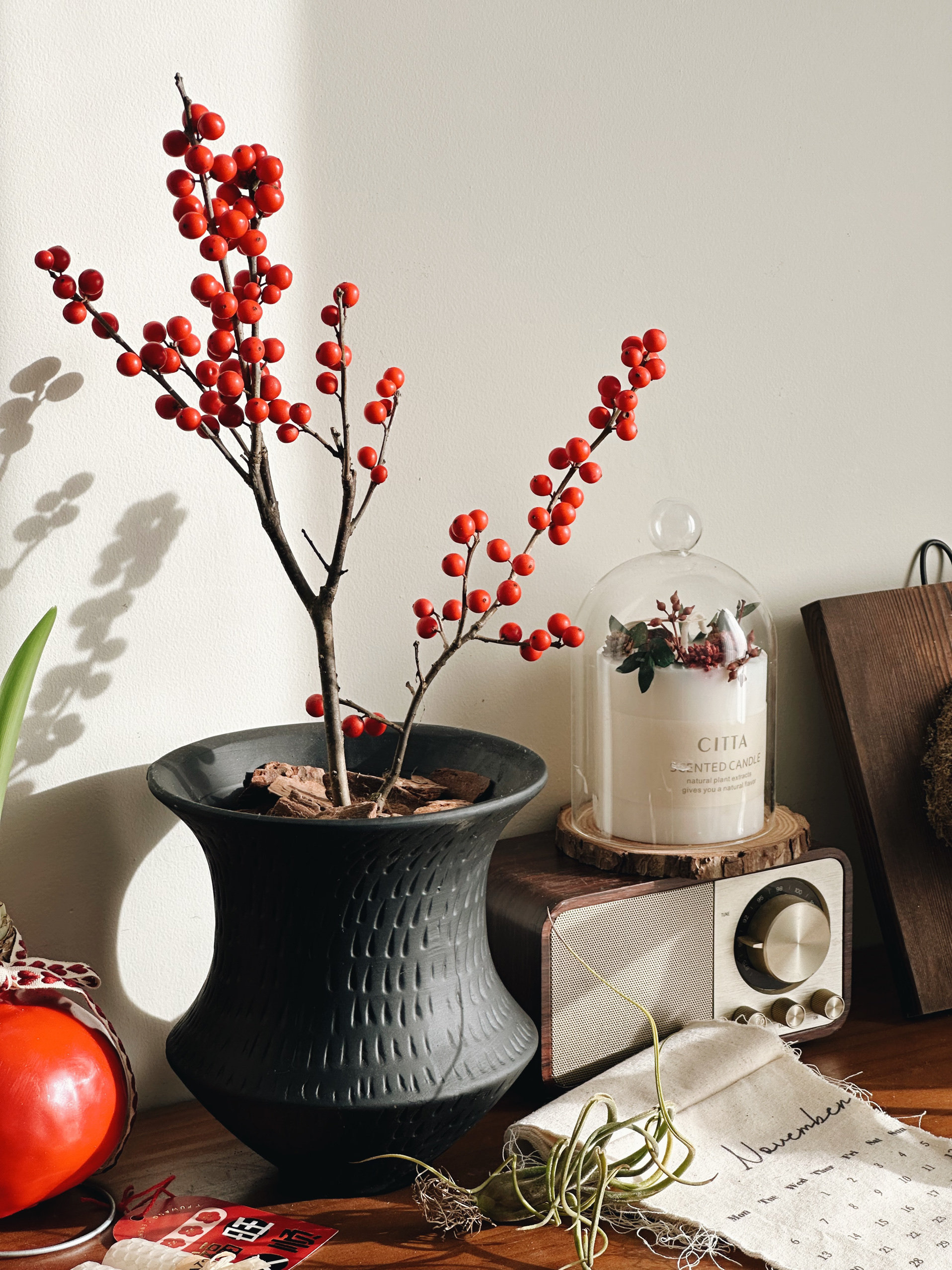 北美冬青年宵花ins北欧侘寂风新年喜庆桌面观果盆栽好养活耐摆放,鲜花速递/花卉仿真/绿植园艺,绿植,淘宝优惠券,粉丝福利购,淘宝优惠卷