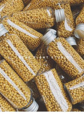 日本进口HB101植物活力素神仙水小白药花多多盈迈奥绿花肥营养液