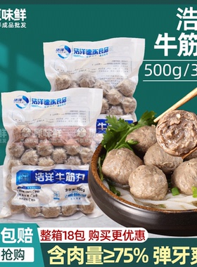 浩洋牛筋丸关东煮潮汕牛肉丸麻辣烫肉丸冷冻火锅丸子商用500g23粒