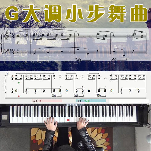 g大调小步舞曲(贝多芬)五线谱简谱钢琴教学课程 悠秀
