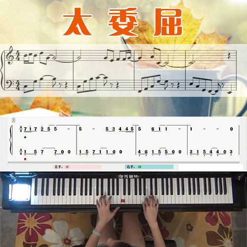 太委屈(陶晶莹)五线谱简谱钢琴教学课程 悠秀