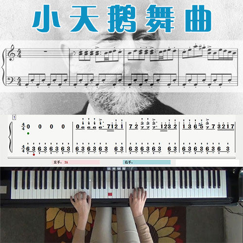 小天鹅舞曲_钢琴五线谱简谱教学课程_悠秀钢琴