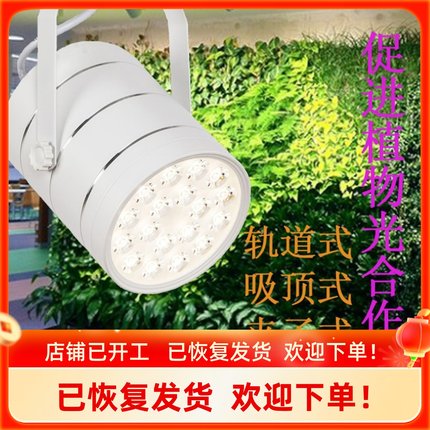 定制绿植墙补光灯植物墙生长灯绿化工程专用LED射灯全光谱植物灯
