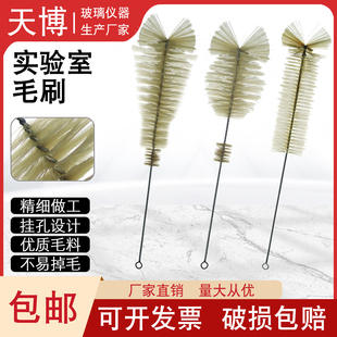 实验室毛刷 试管刷量筒刷容量瓶刷锥形瓶刷烧杯刷刻度滴定管刷