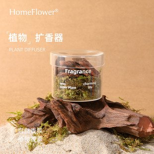 饰摆件 植物香薰精油玻璃扩香器扩香石木质香氛礼盒家用办公装