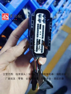 启辰D60T70T90T60E30D60启辰星R50晨风新能源ABS泵插头