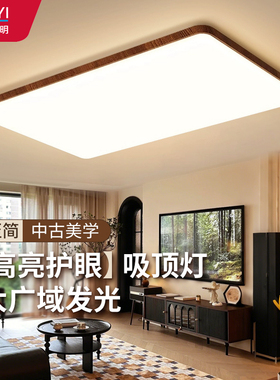 华艺中古风客厅主灯2025新款简约大气胡桃木色卧室吸顶灯中山灯具