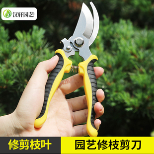修枝剪园林园艺花园剪刀树枝粗枝摘果树剪刀家用花艺剪工具 汉轩