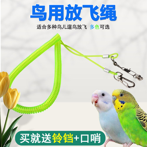 小斑兔鸟用放飞绳新款经济款