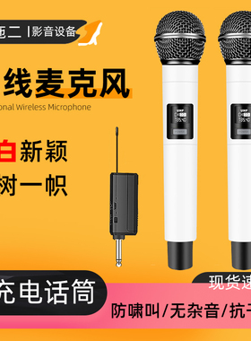 万能话筒一拖二wireless microphone防啸叫家用k歌户外舞台麦克风