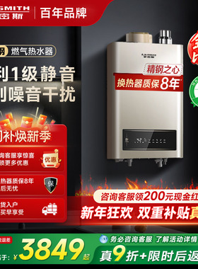 [精钢]AO史密斯1级静音家用燃气热水器16升恒温安全耐用官方TEW