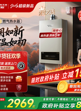 【爆款TM5升级】AO史密斯家用小精钢燃气热水器13/16升EC3恒温