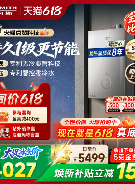 【1级能效新品】AO史密斯佳尼特无冷凝管16L小精钢燃气热水器TJE5
