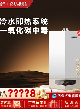 门店在售史密斯26S9采暖壁挂炉
