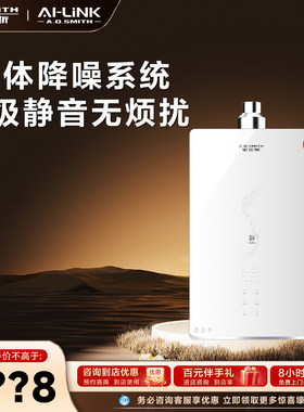 史密斯燃气热水器JSQ31-FJSWi