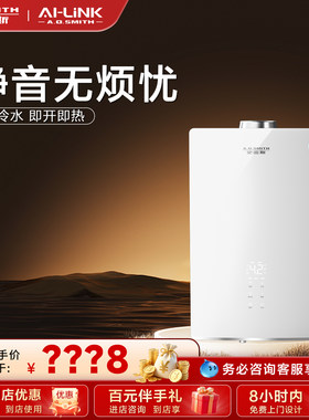 史密斯门店在售燃气热水器VJSAI