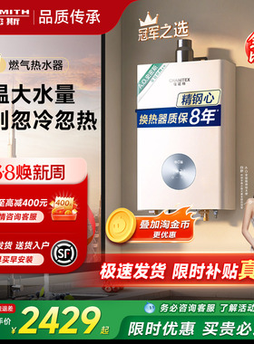 AO史密斯佳尼特精钢燃气热水器恒温13升16升TC1