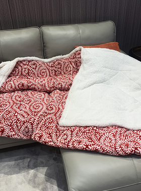 加厚双面绒毯超大尺寸盖毯加绒床单双人保暖盖毯被子毛毯